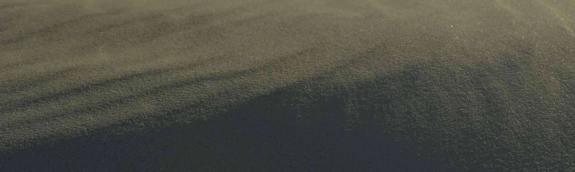 Beach Sand_Executive Clarity Program_Remede Wellness Medicine