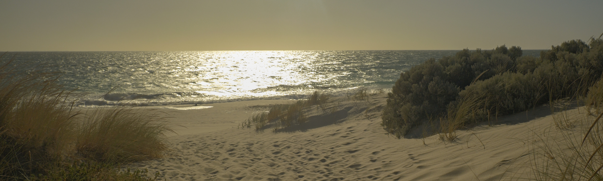 WA Beach_Executive Clarity Program_Remede Wellness Medicine